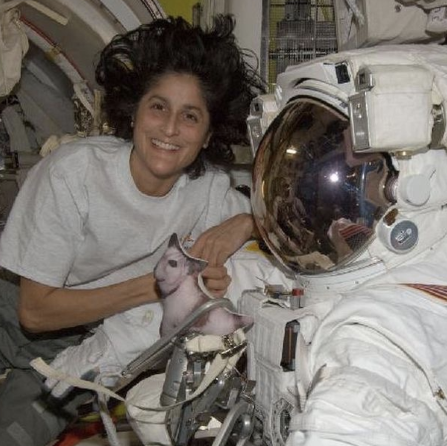 Stranded astronaut preaching Gospel from space finally rescued - My ...